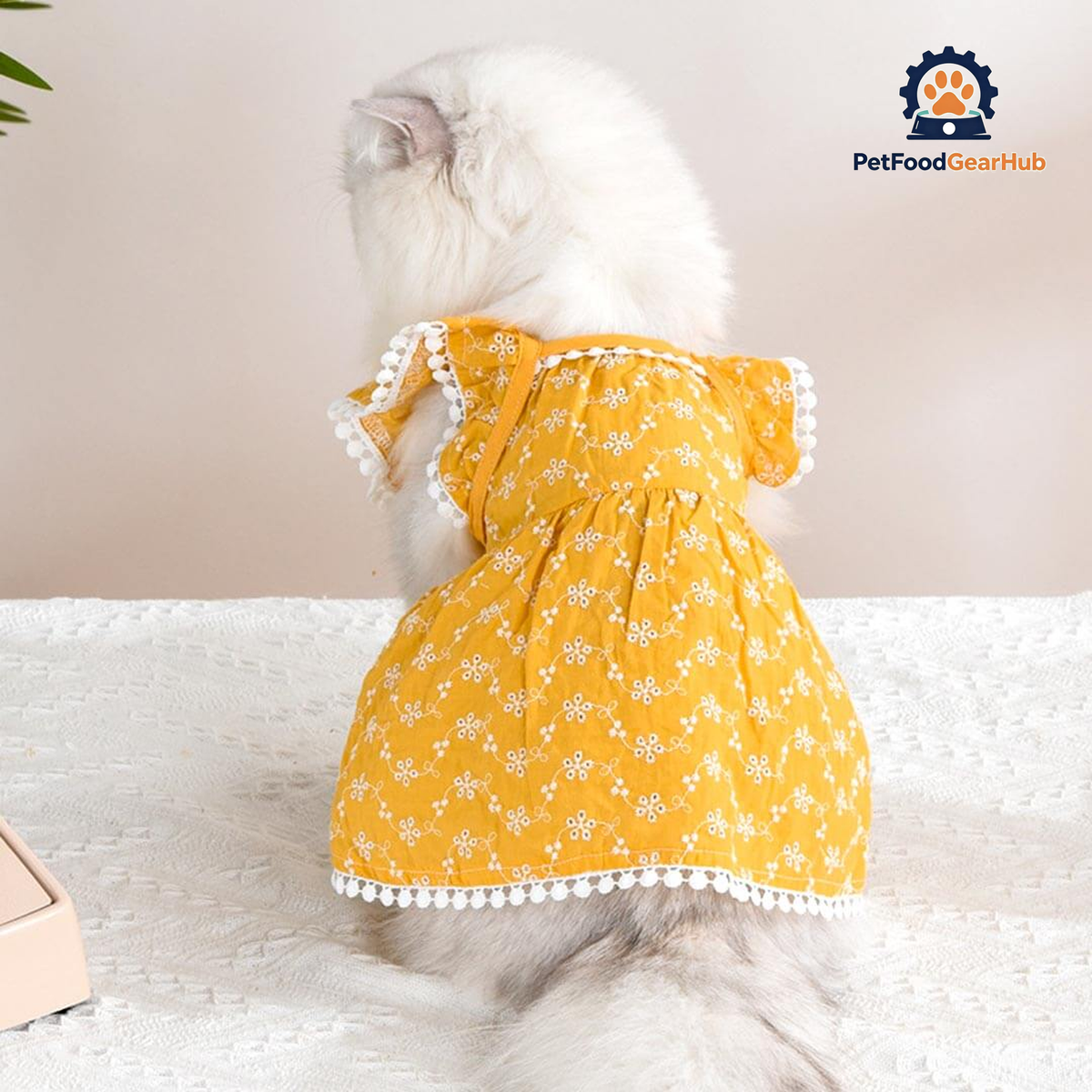 MoMo Cat Dress | Dress for Cats | Cat in Dress | PetFoodGearHub