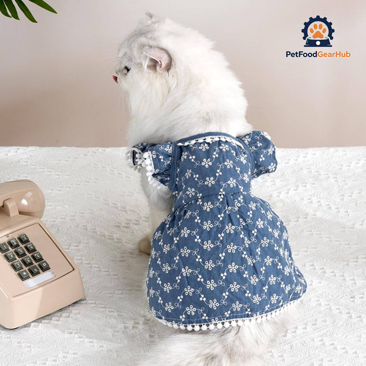 MoMo Cat Dress | Dress for Cats | Cat in Dress | PetFoodGearHub