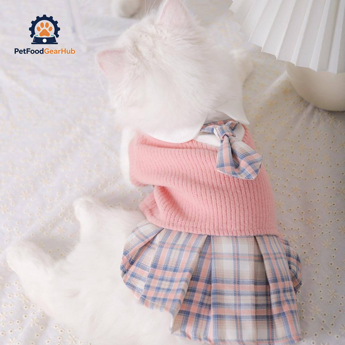 Bella Cat Sweater | Cat with Dress | Cat Clothes | PetFoodGearHub