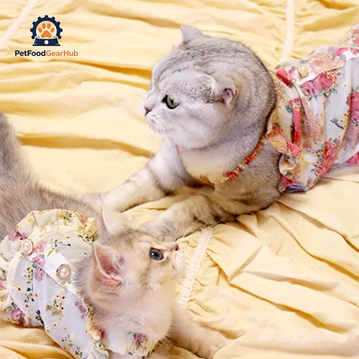 Cats in Floral Print Dresses| PetFoodGearHub