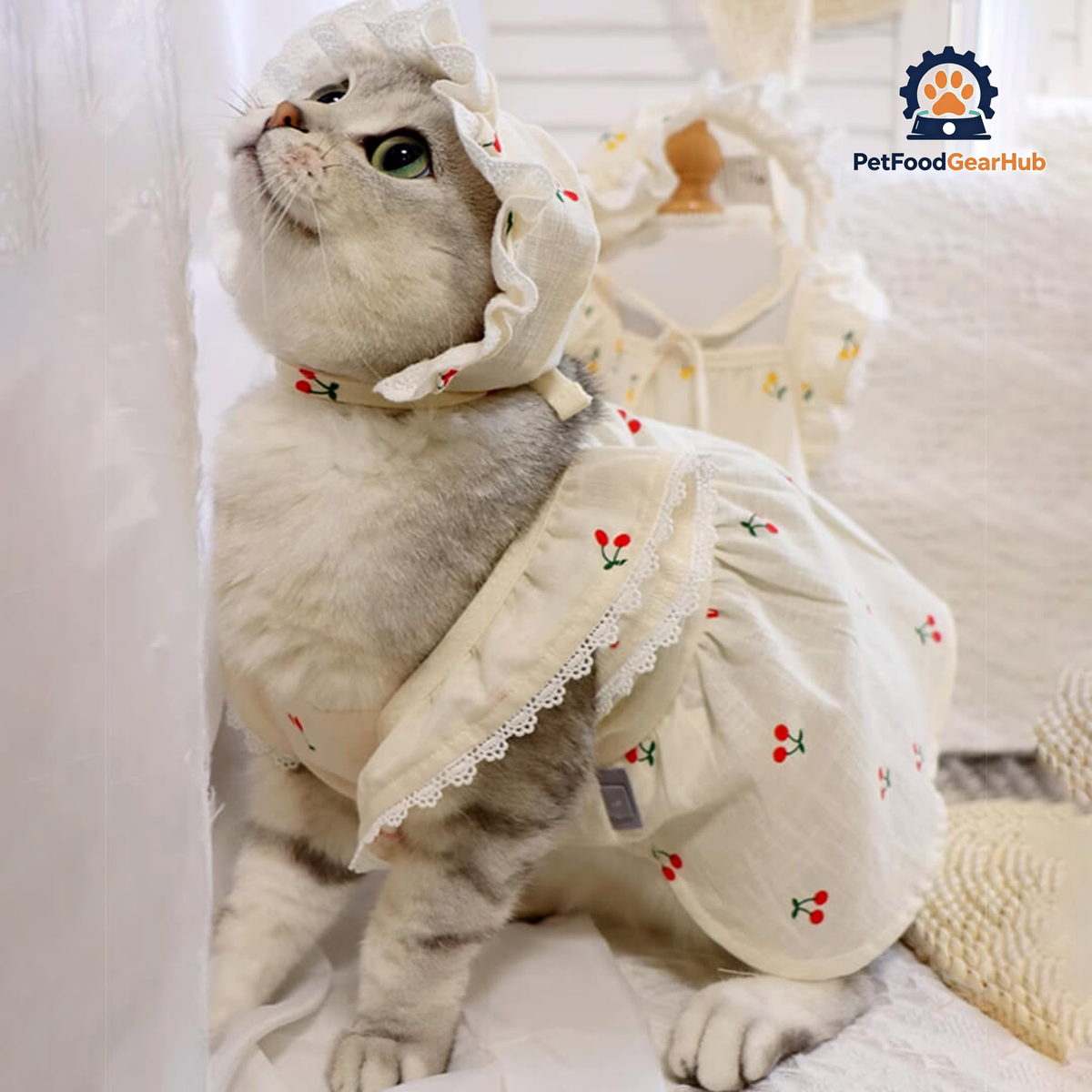 Cat in Red Cherry Print Hat & Dress | PetFoodGearHub
