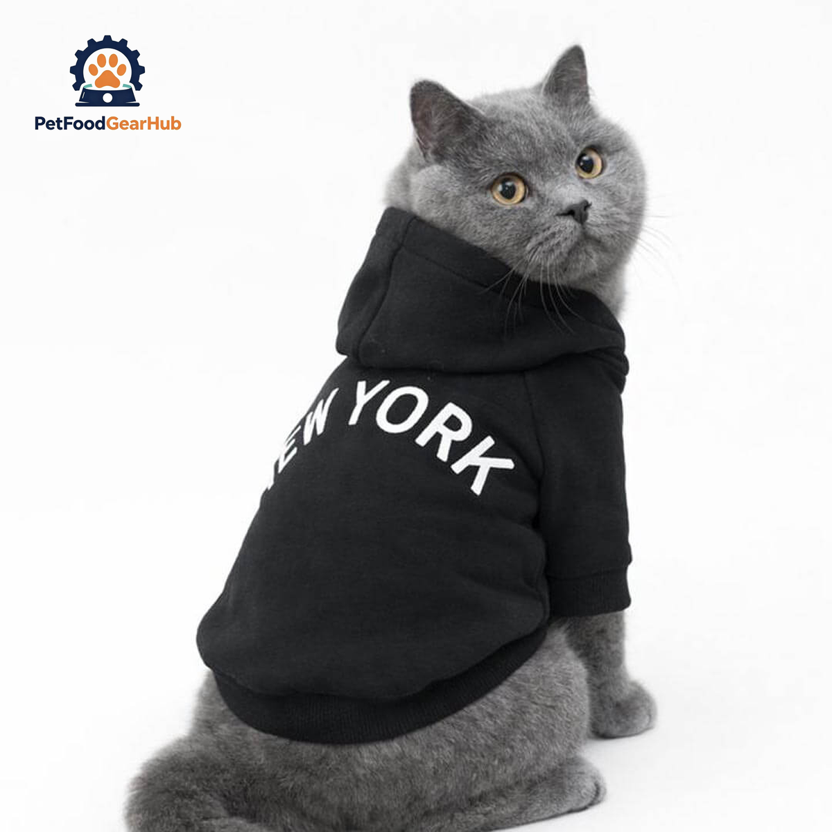 gray British Shorthair Cat Wearing Black New York Cat Hoodie | Cat Hoodie Outfit | PetFoodGearHub