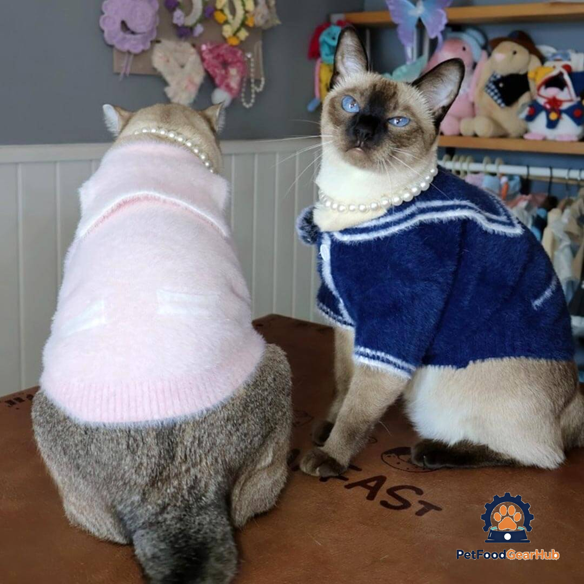 Pink And Navy Sailor Cat  Cardigans On Cats | Matching Cat Sweaters | PetFoodGearHub