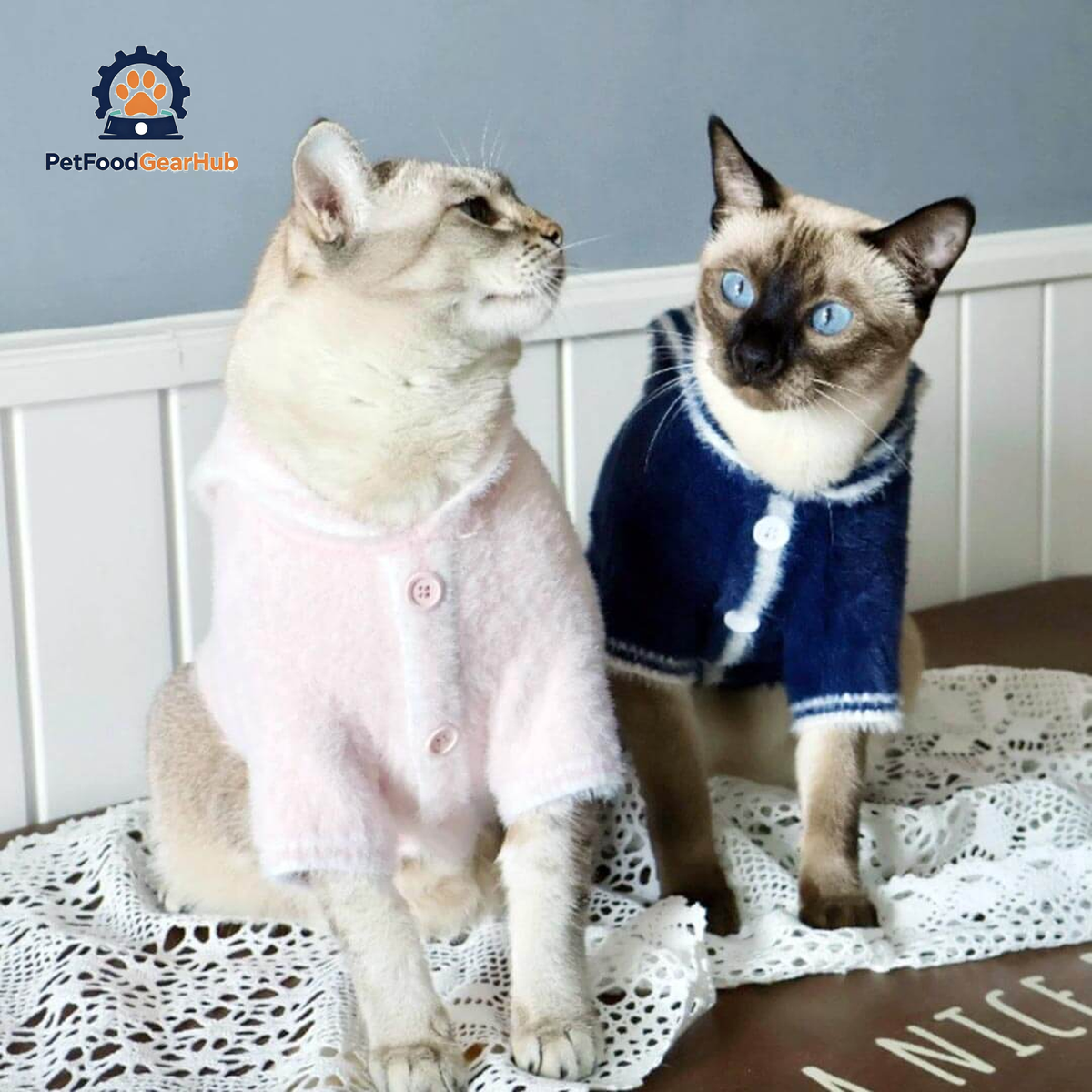 Pink And Navy Sailor Cat Cardigans On Cats | Matching Cat Sweaters | PetFoodGearHub