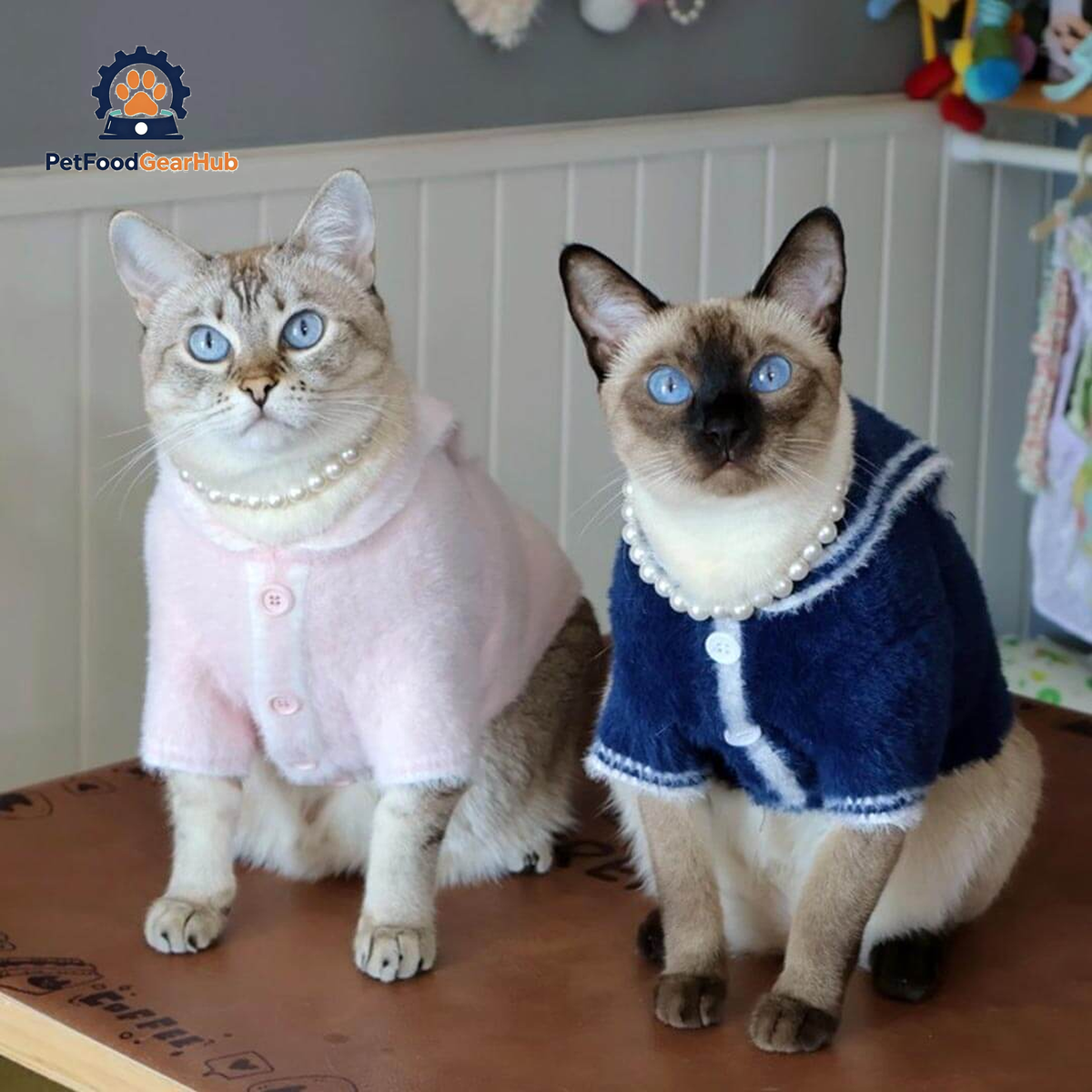 Pink And Navy Sailor Cat  Cardigans On Cats | Matching Cat Sweaters | PetFoodGearHub