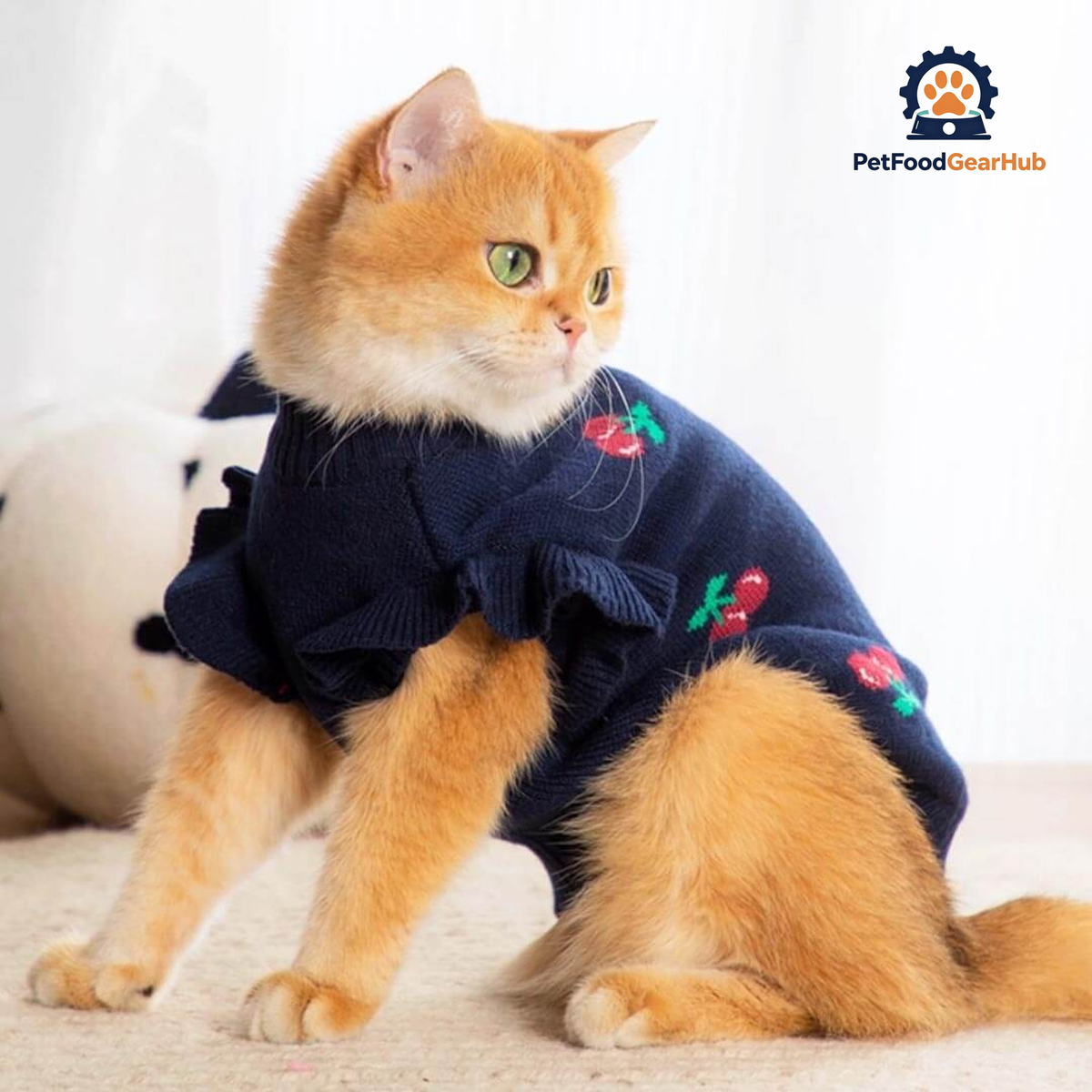 Cat in Navy Cherry Print Sweater | PetFoodGearHub