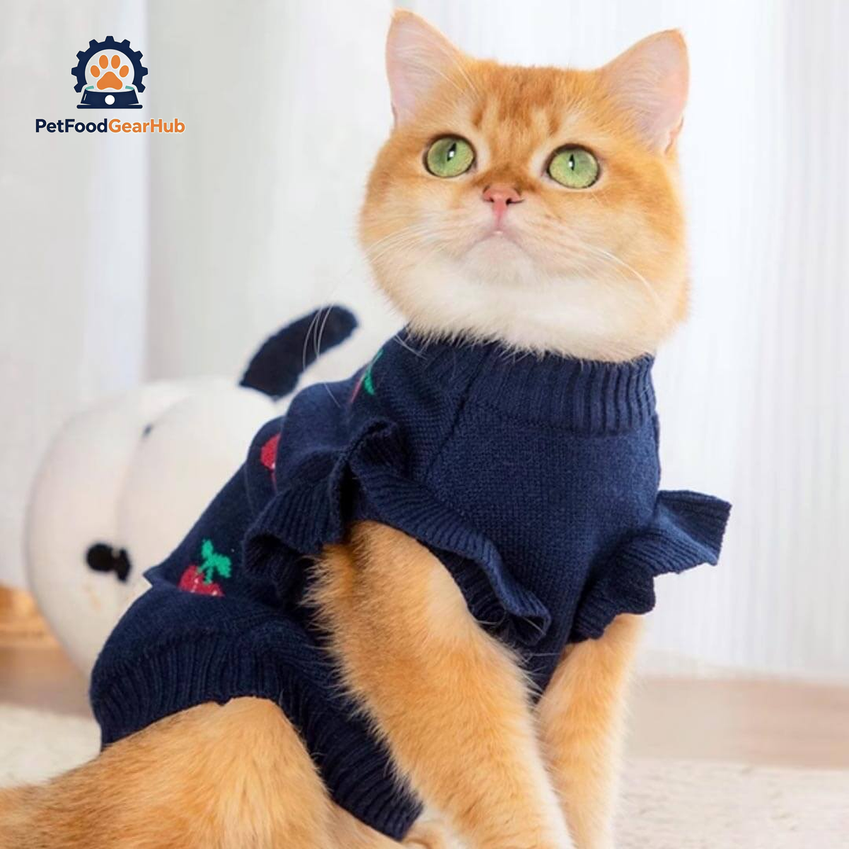 Cat in Navy Cherry Print Sweater | PetFoodGearHub