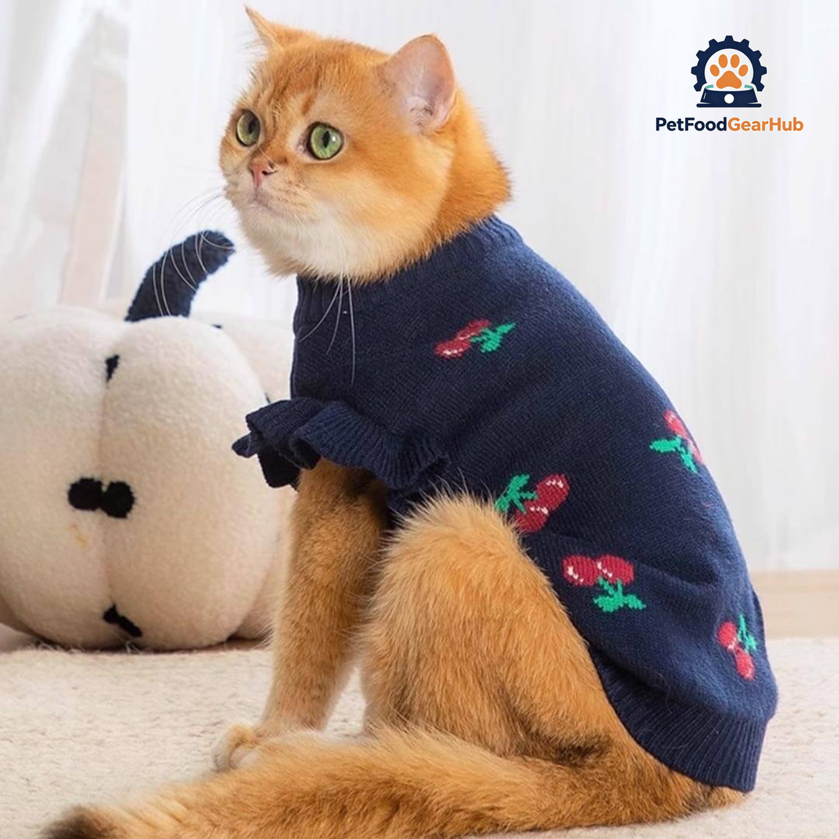 Cat in Navy Cherry Print Sweater | PetFoodGearHub