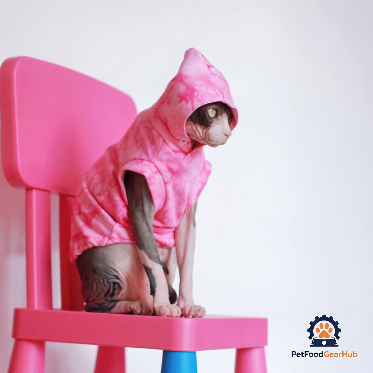 Sphynx Cat in Pink Tie Dye Sleeveless Hoodie | PetFoodGearHub