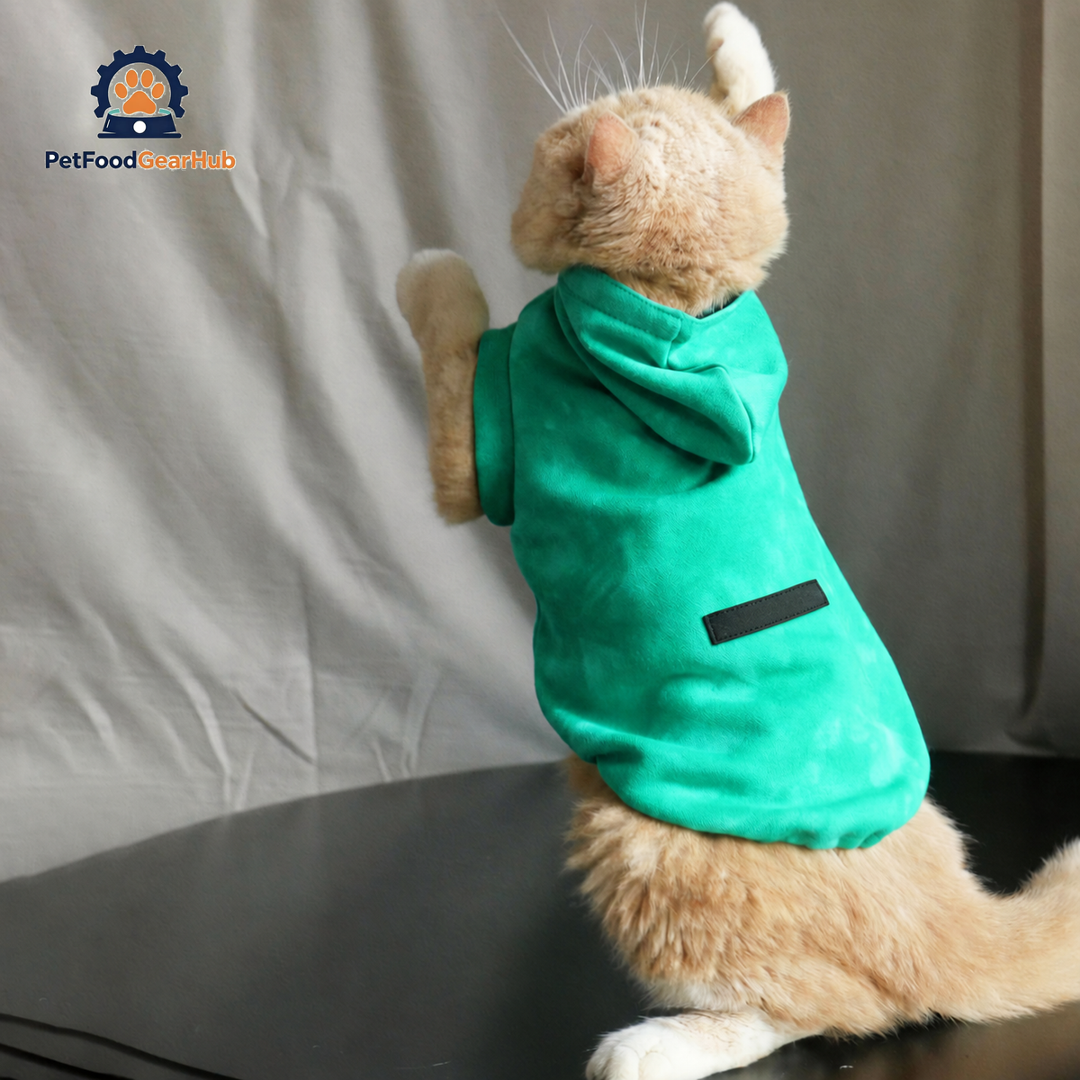 Cat in Green Tie Dye Sleeveless Hoodie | PetFoodGearHub