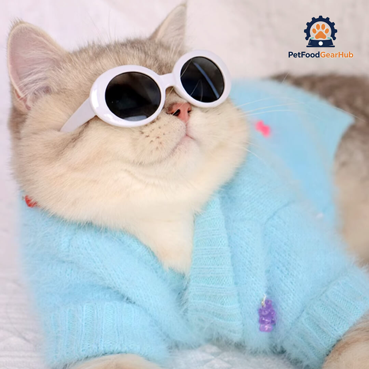 Cat in Blue Faux Mink Jelly Bear Cardigan | PetFoodGearHub