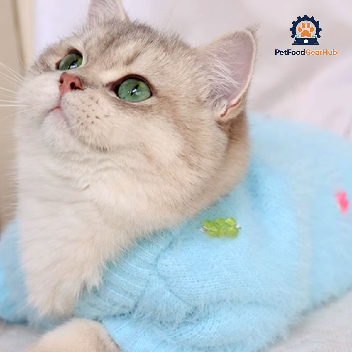 Cat in Blue Faux Mink Jelly Bear Cardigan | PetFoodGearHub
