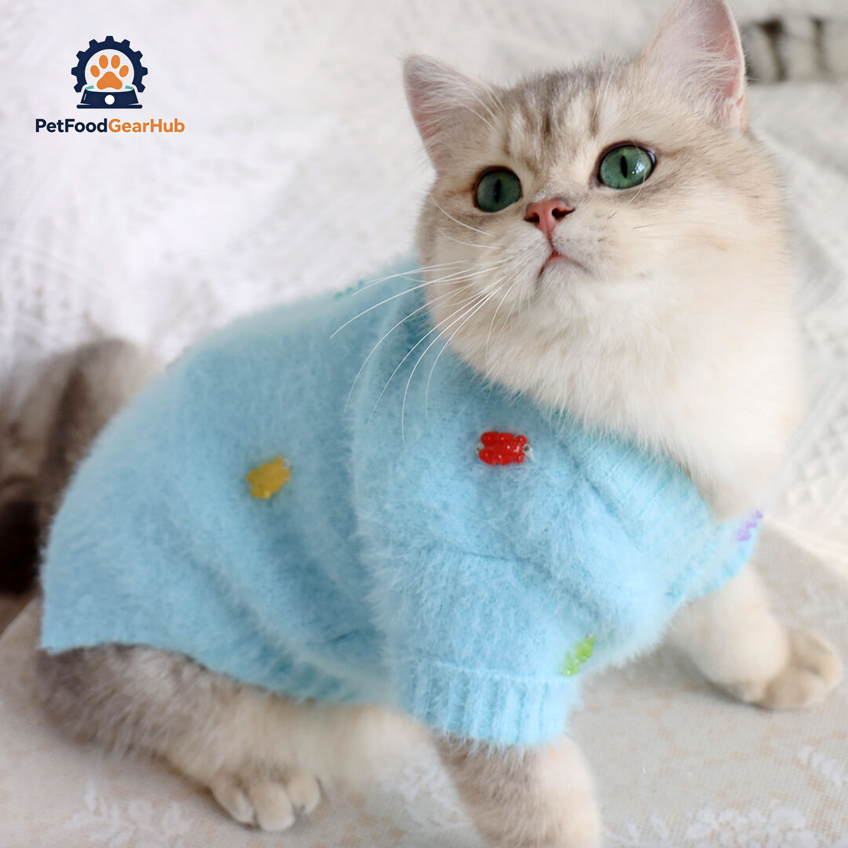 Cat in Blue Faux Mink Jelly Bear Cardigan | PetFoodGearHub