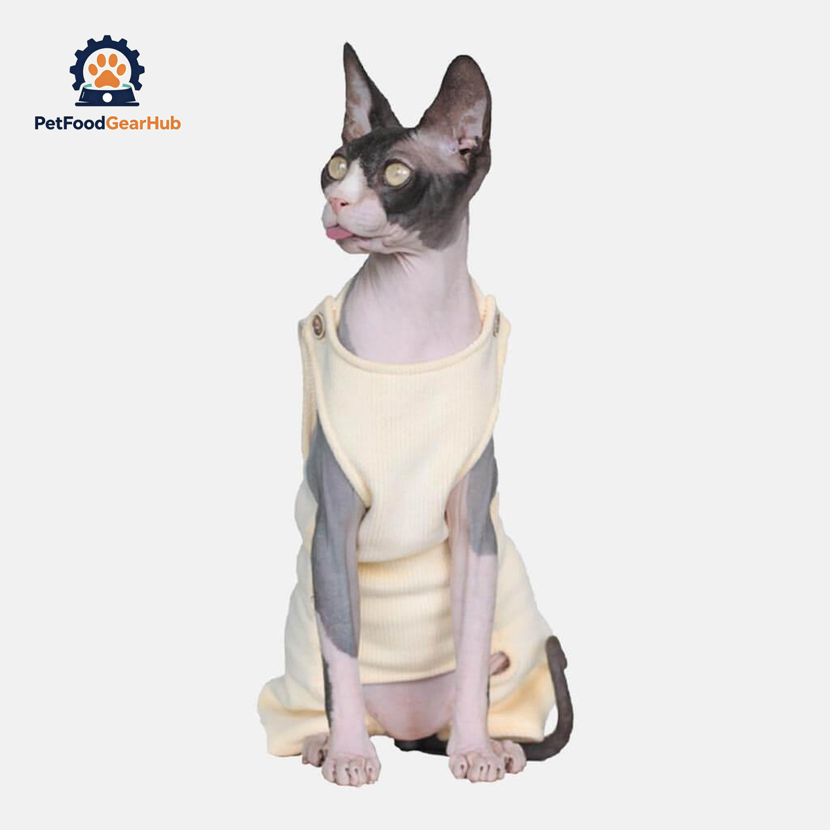 Neko Cat Dungarees | Cat Clothes for Sphynx | PetFoodGearHub
