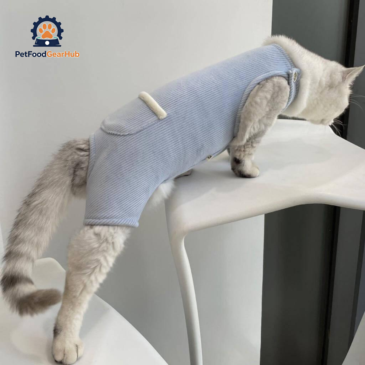 Neko Cat Dungarees | Cat with Clothes | PetFoodGearHub