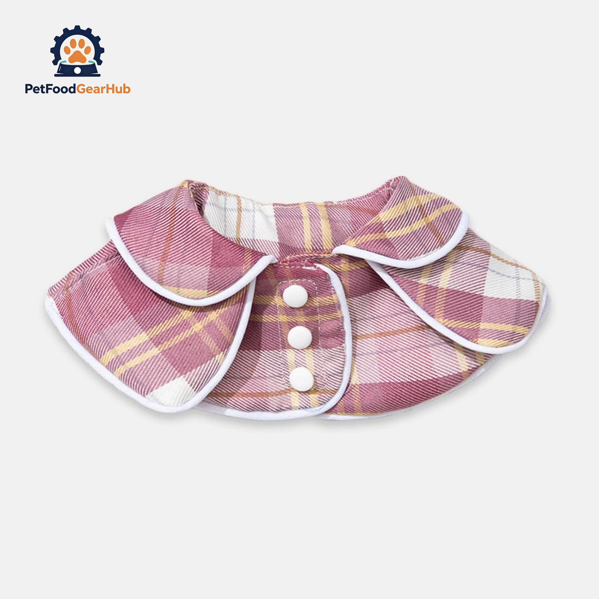 Back to School Cat Bib | Cat Collar | PetFoodGearHub