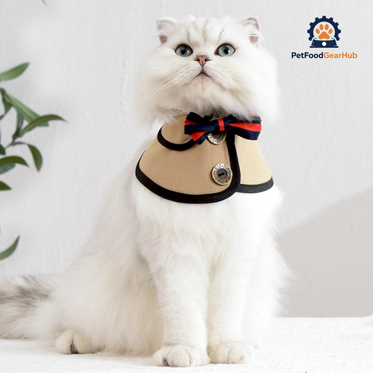 Gentlemeow Cat Bib | Cat with Collar | PetFoodGearHub