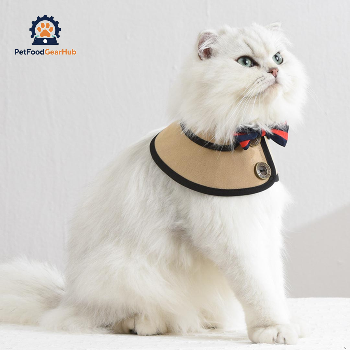 Gentlemeow Cat Bib | Cat with Collar | PetFoodGearHub