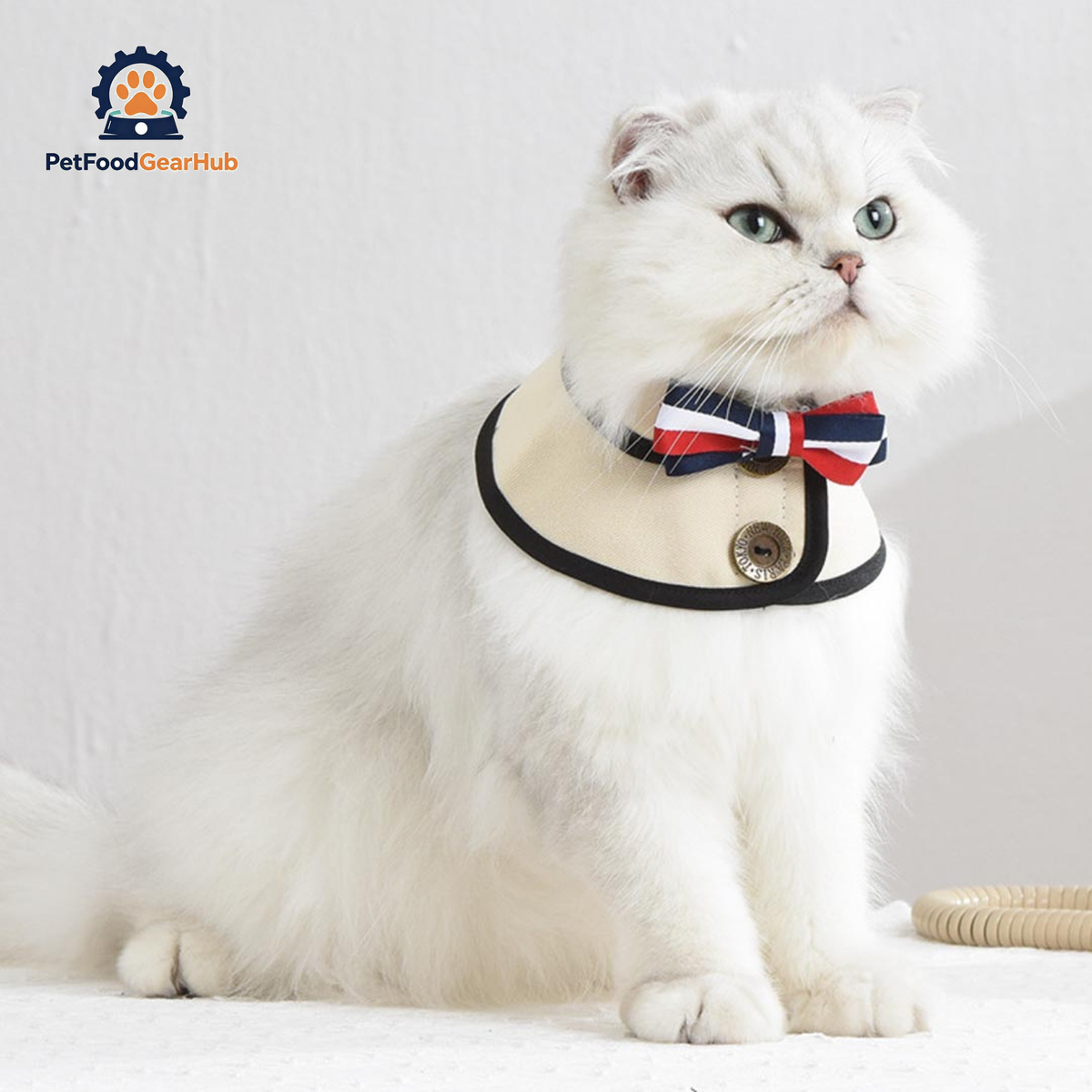 Gentlemeow Cat Bib | Cat with Collar | PetFoodGearHub