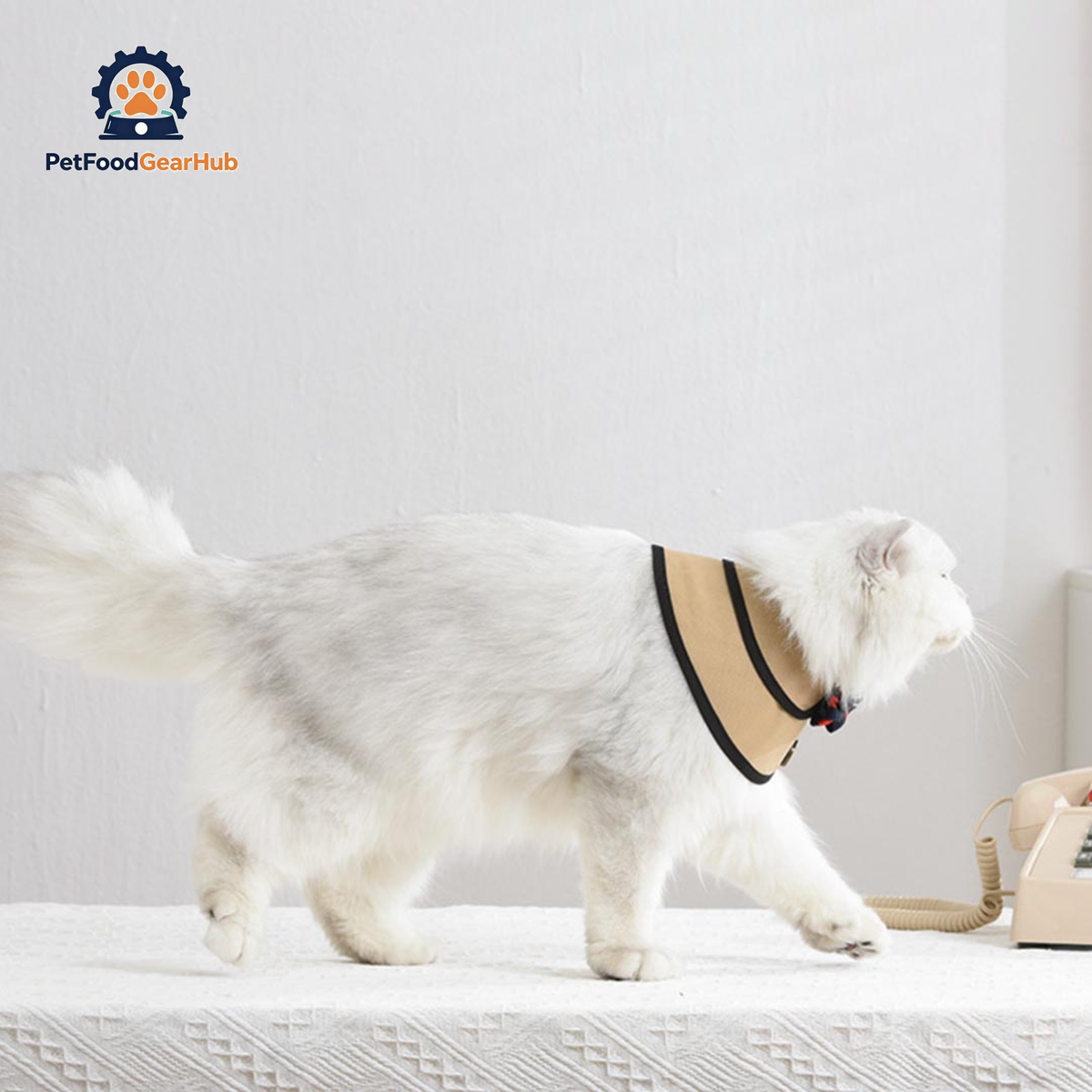 Gentlemeow Cat Bib | Cat with Collar | PetFoodGearHub