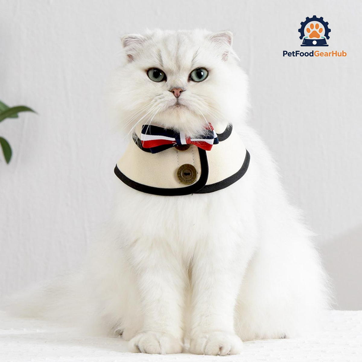 Gentlemeow Cat Bib | Cat with Collar | PetFoodGearHub