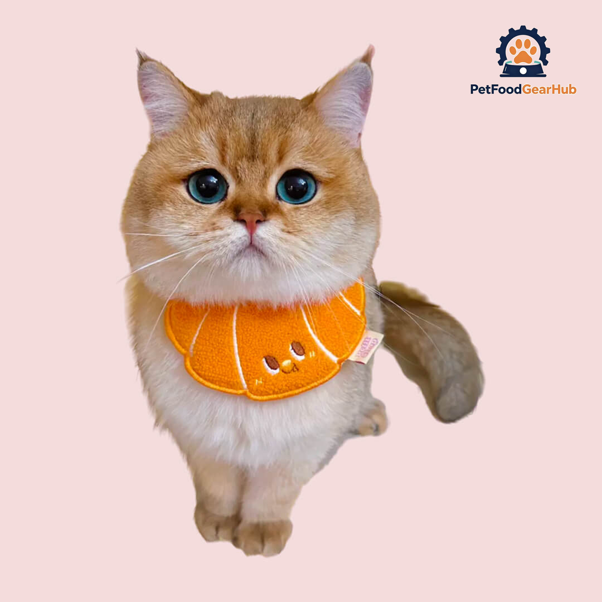 Cat in Croissant Cat Bib | Cute Accessories for Cats | PetFoodGearHub
