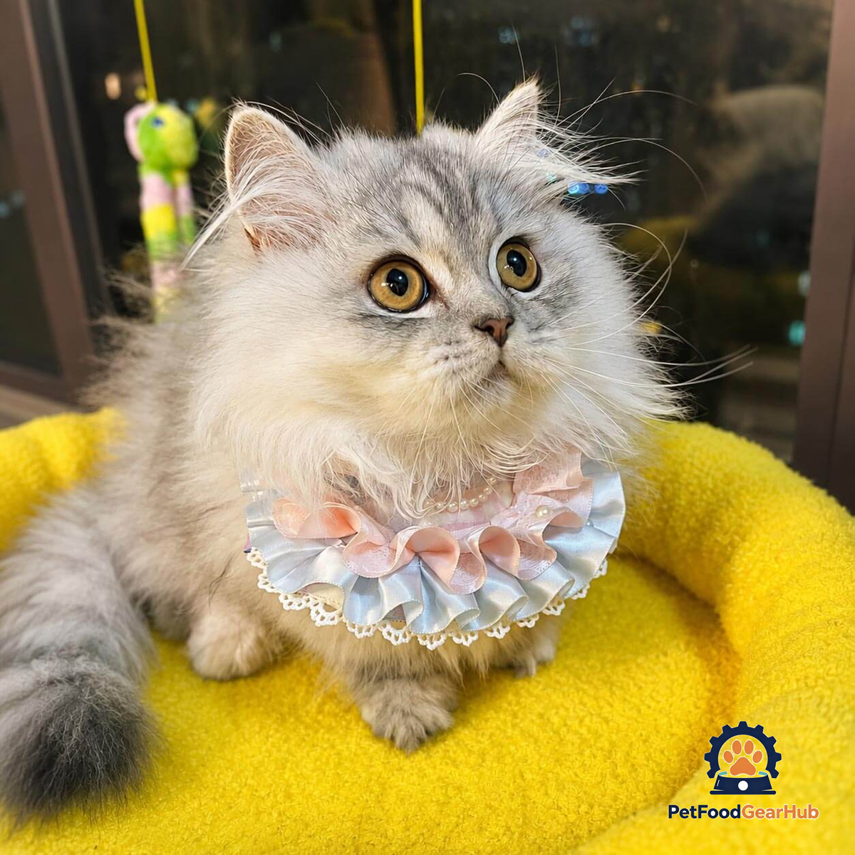 Bonbon Cat Bib on Silver Fluffy Cat | Handmade Pearl Ruffle Cat Bib | PetFoodGearHub