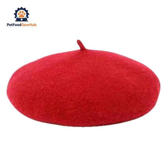 Red Wool Beret Hat for Cats | PetFoodGearHub