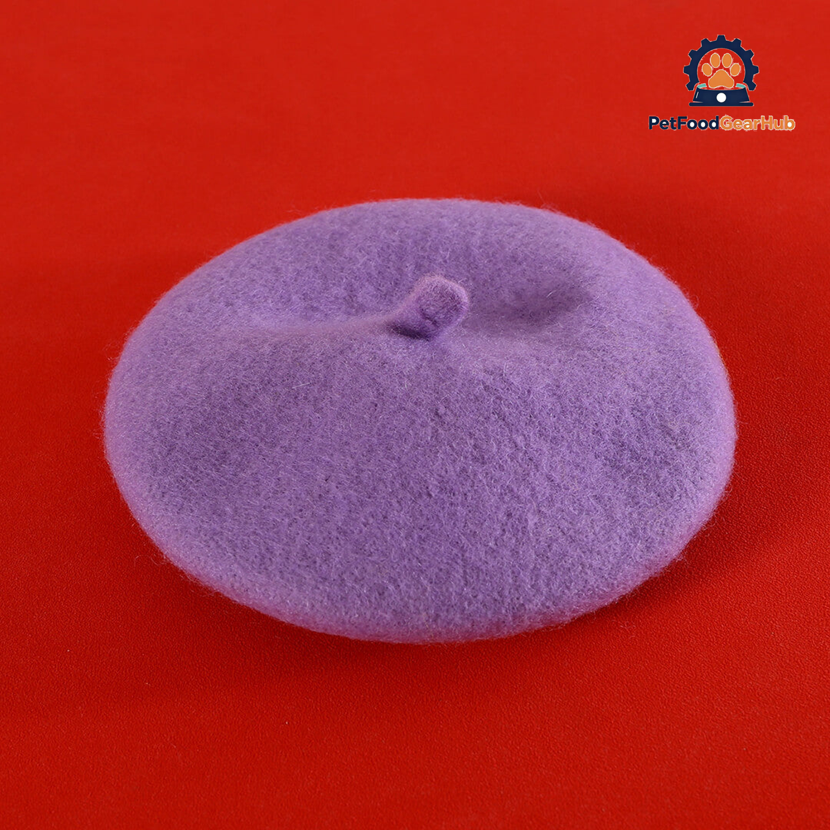 Purple Beret Hat for Cats | PetFoodGearHub