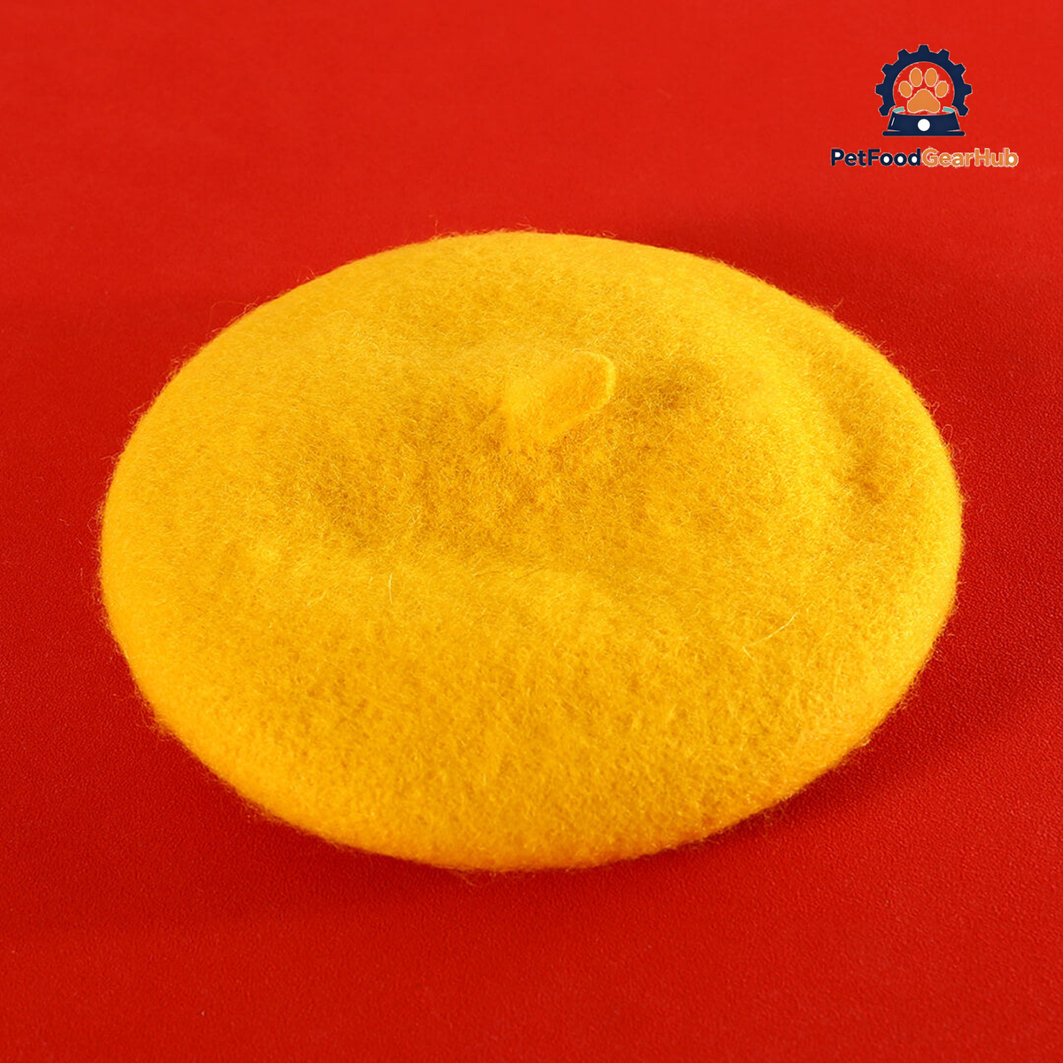 Yellow Beret Hat for Cats | PetFoodGearHub