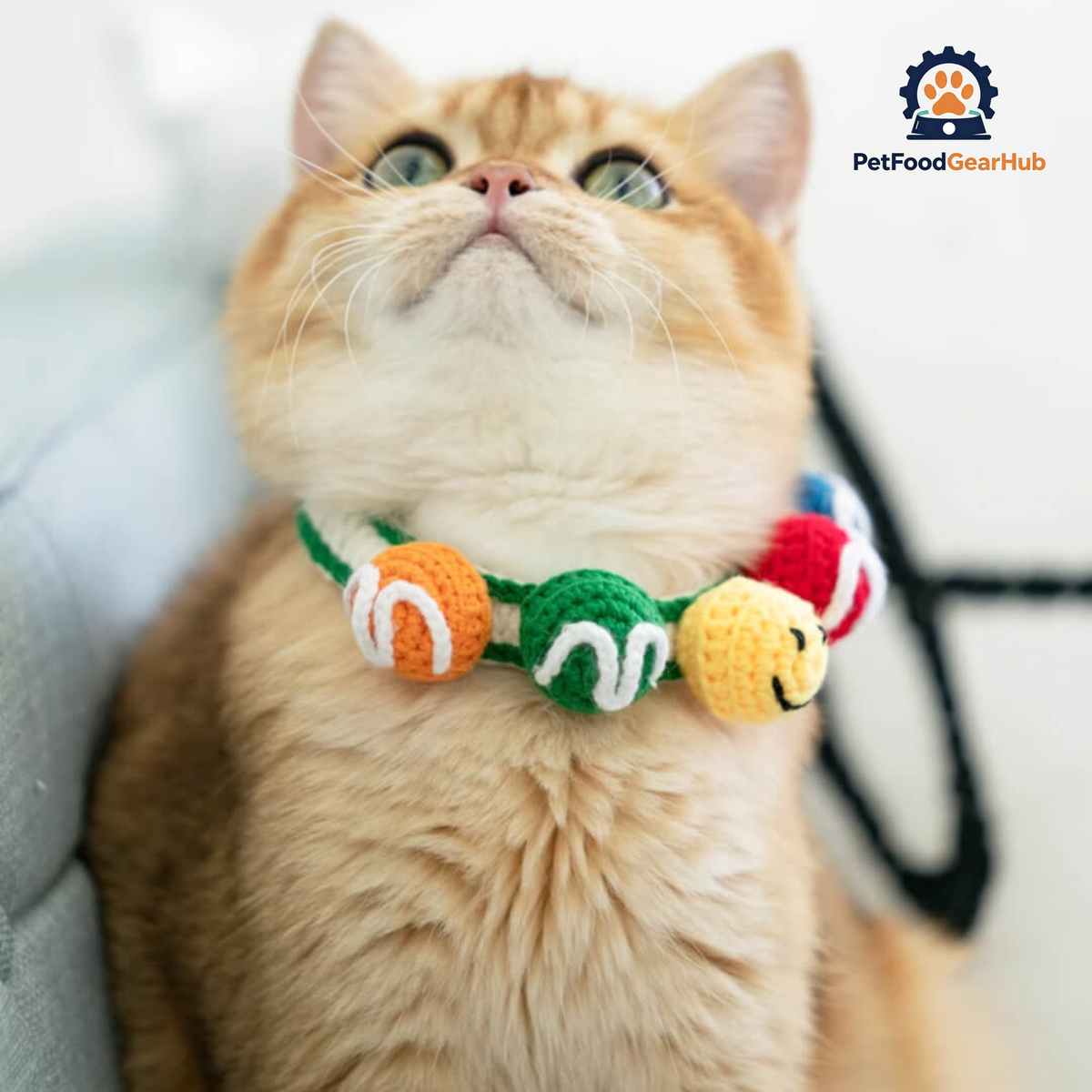 Cat in Handmade Colorful Balls Cat Collar | PetFoodGearHub