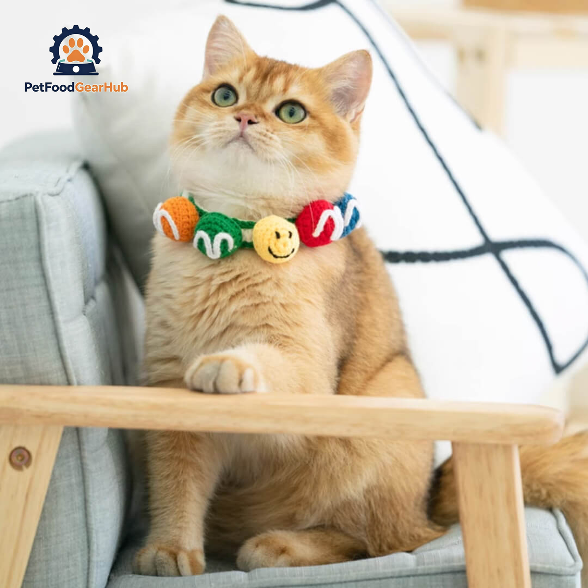 Cat in Handmade Colorful Balls Cat Collar | PetFoodGearHub