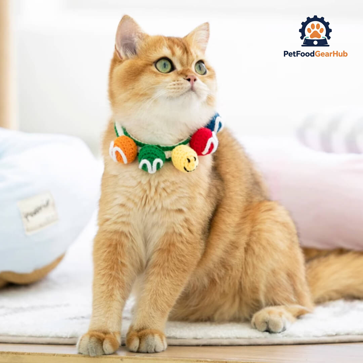 Cat in Handmade Colorful Balls Cat Collar | PetFoodGearHub