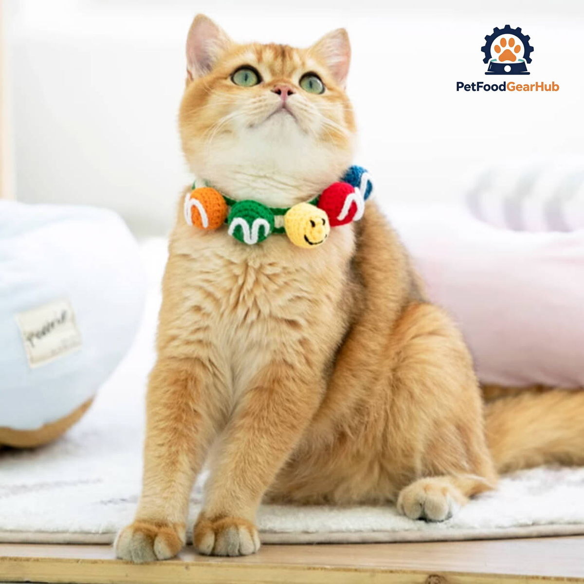 Cat in Handmade Colorful Balls Cat Collar | PetFoodGearHub