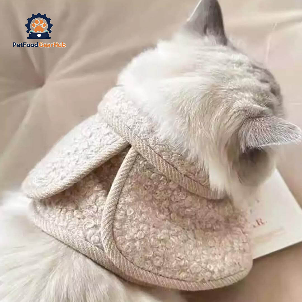 Colette Vanilla Cat Bib Back View on Ragdoll Cat | Soft Bouclé Cape | PetFoodGearHub