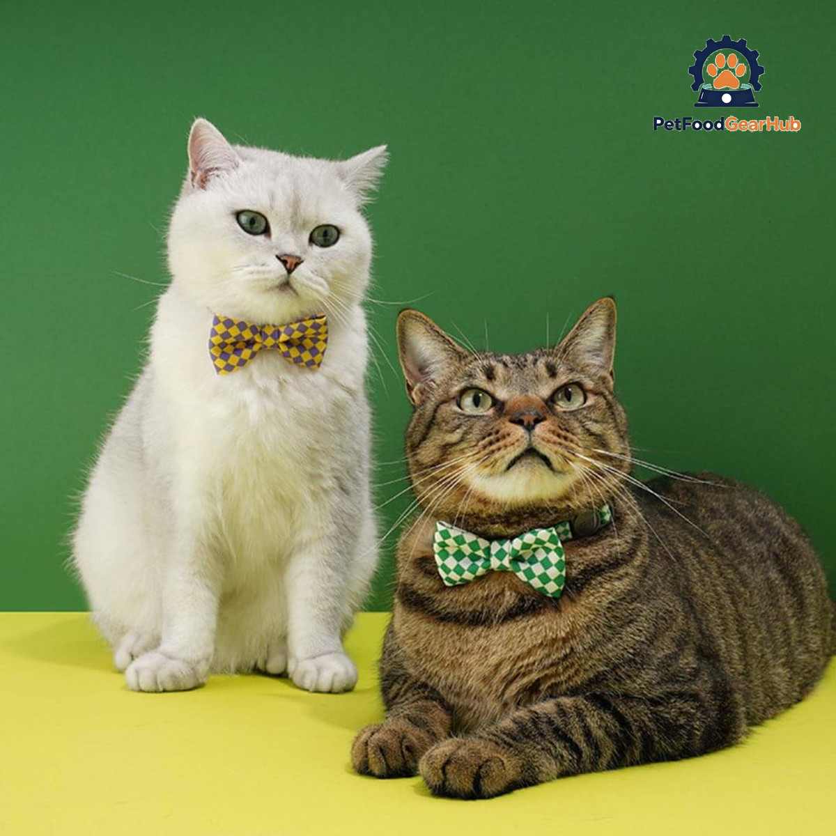 Gentlemeow Cat Bow Tie | Cats with Bow Ties | PetFoodGearHub