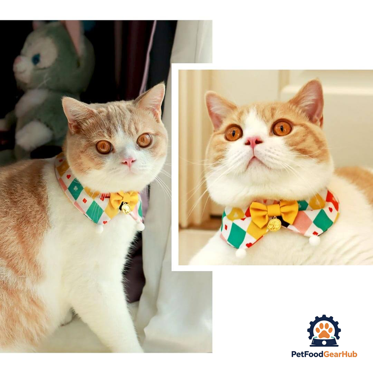Circus Cat Bib | Cute Accessories for Cats | PetFoodGearHub
