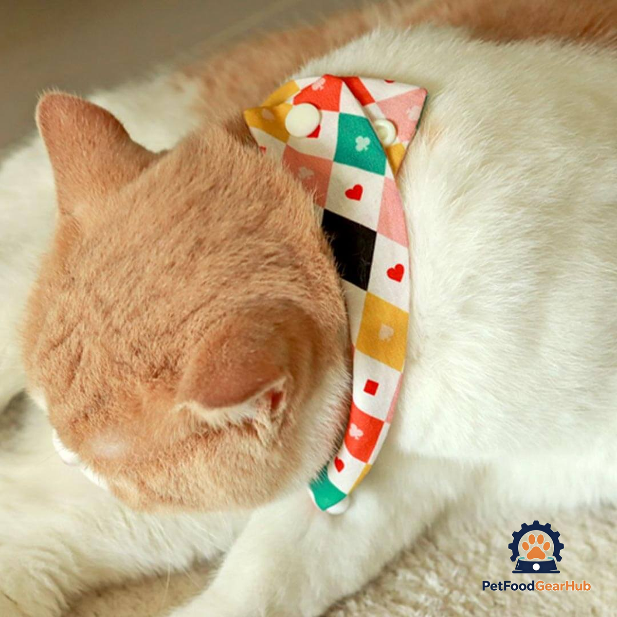 Circus Cat Bib | Cute Accessories for Cats | PetFoodGearHub