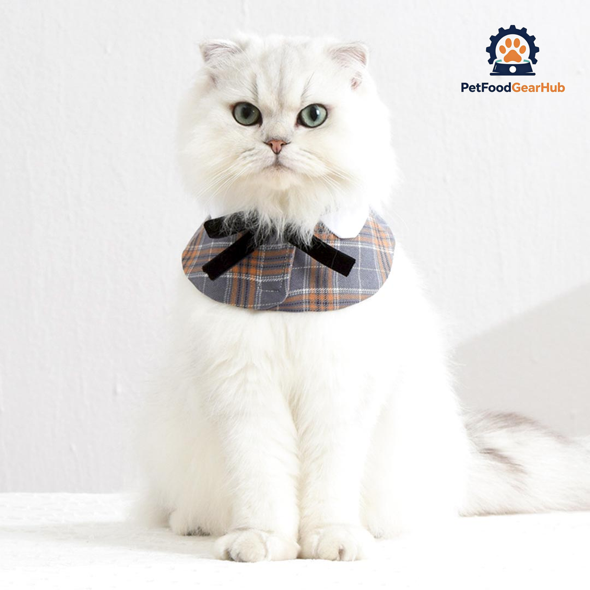 Plaid Cat Bib | Cat Accessories | Cat with Collar | PetFoodGearHub