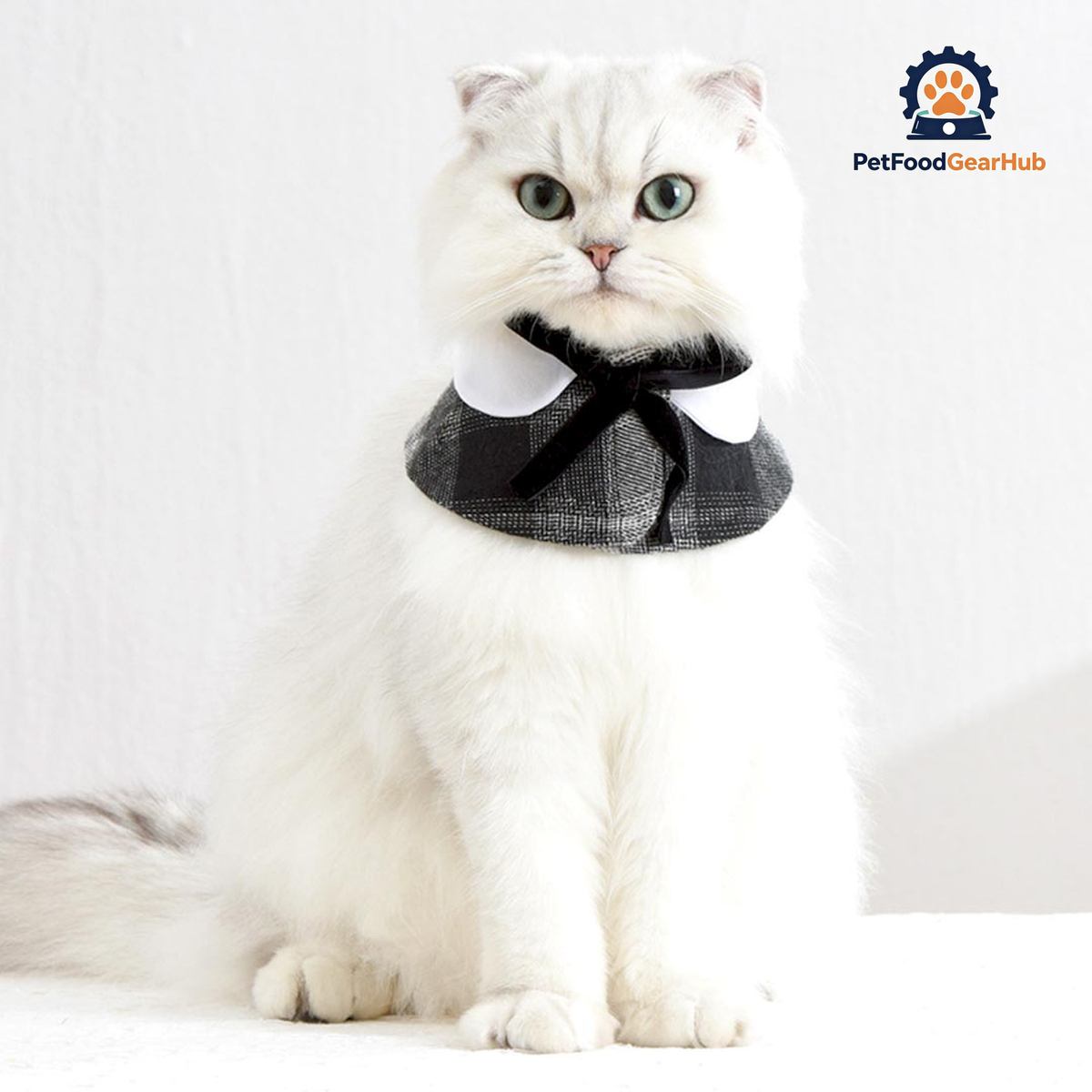 Plaid Cat Bib | Cat Accessories | Cat with Collar | PetFoodGearHub