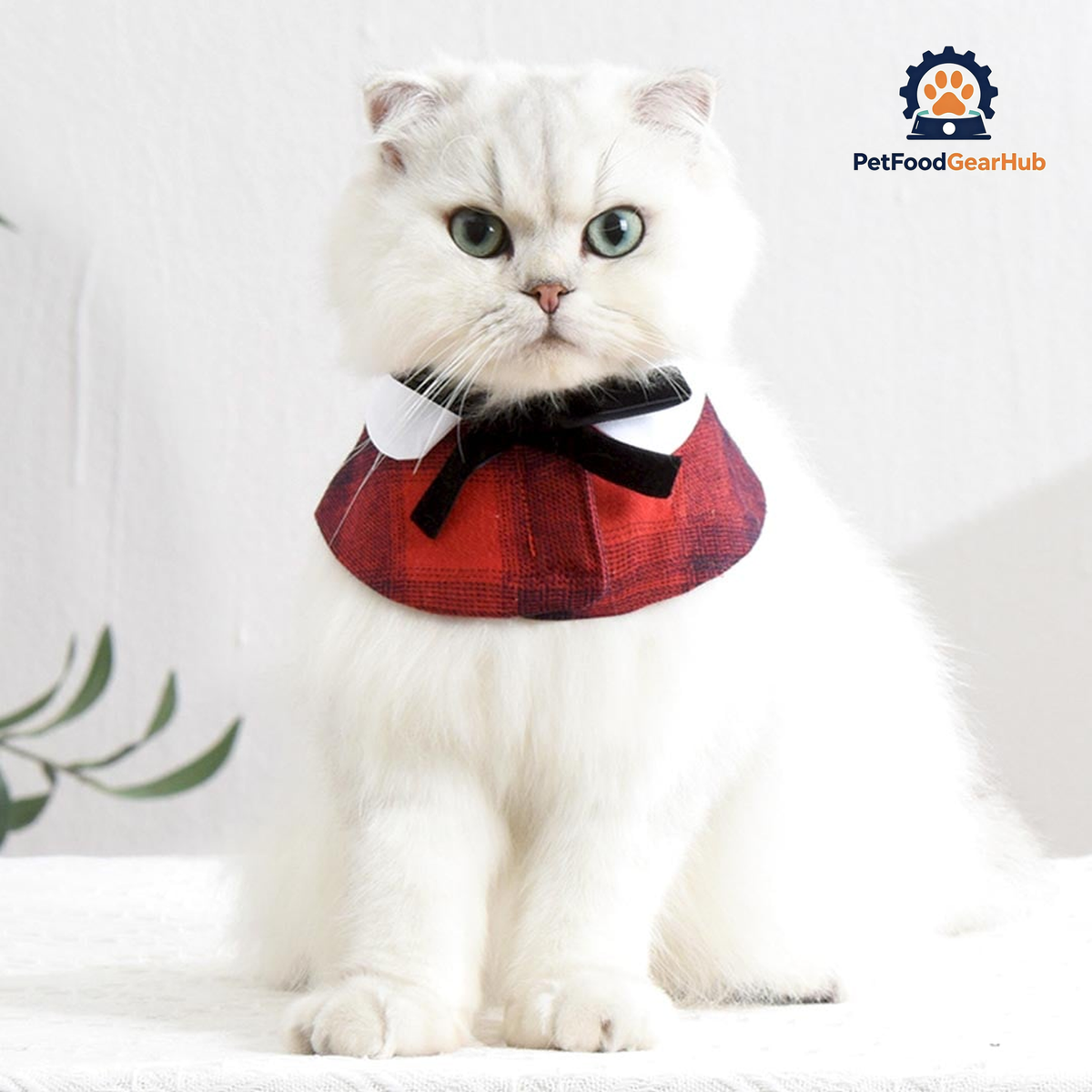 Plaid Cat Bib | Cat Accessories | Cat with Collar | PetFoodGearHub