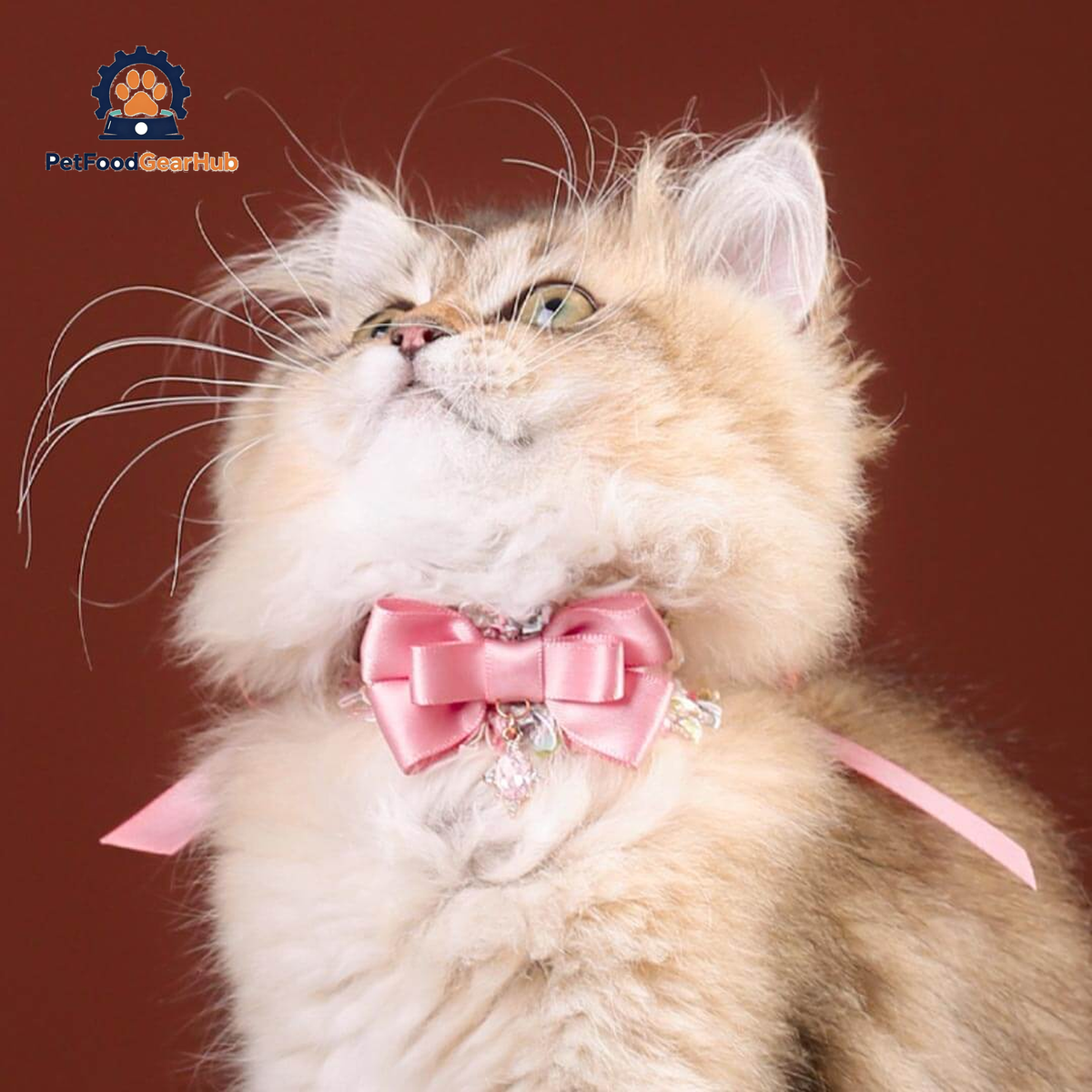 La Rose Cat Collar | Luxurious Accessories for Cats | PetFoodGearHub