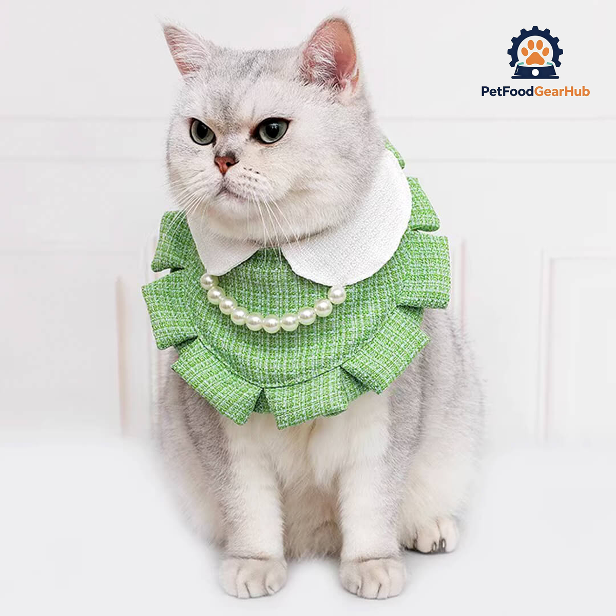 Cat in Green Cat Bib | PetFoodGearHub