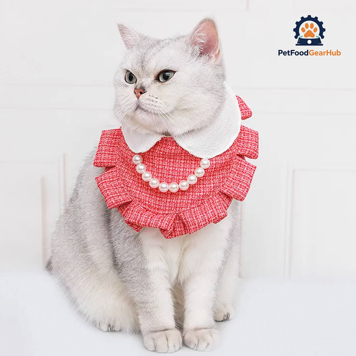 Cat in Pink Cat Bib | PetFoodGearHub