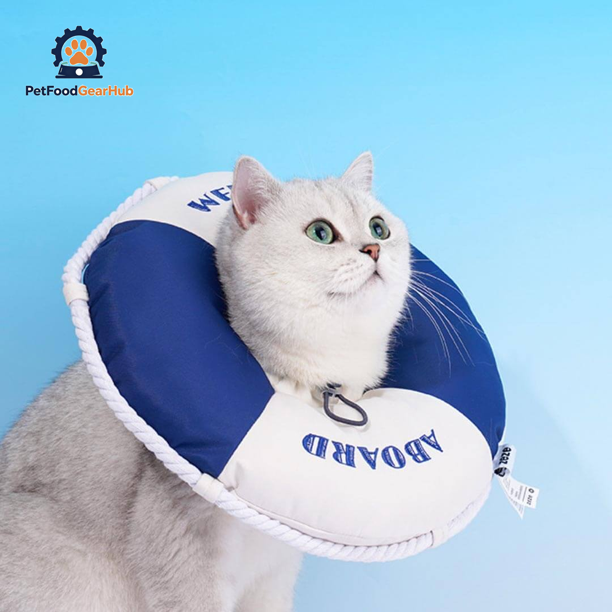 Lifebuoy Elizabethan Collar for Cats | Cat with E Collar | PetFoodGearHub