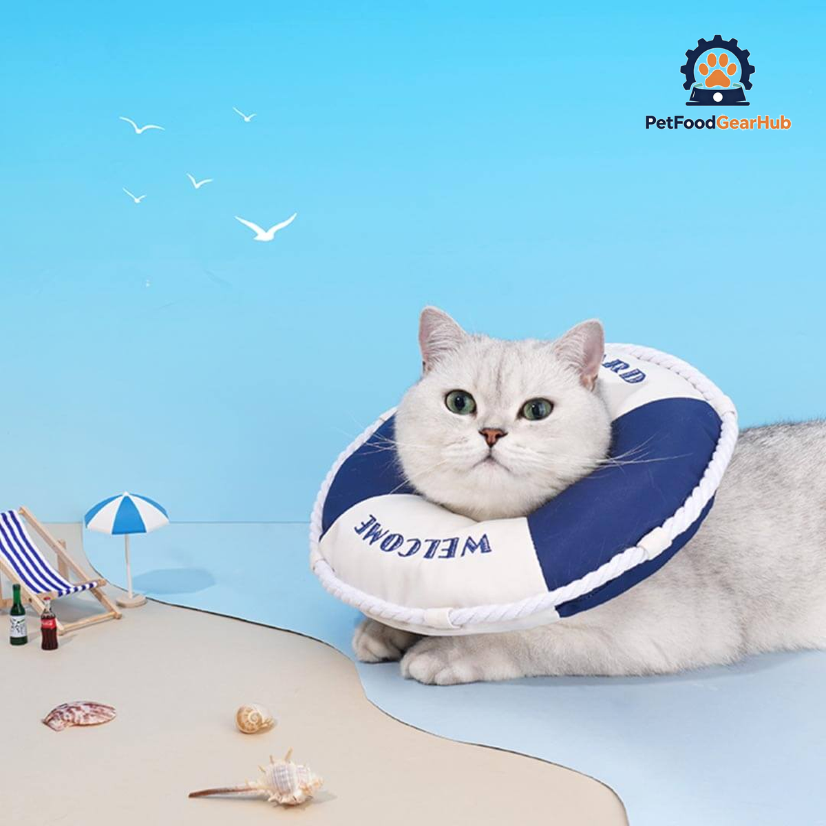 Lifebuoy Elizabethan Collar for Cats | Cat with E Collar | PetFoodGearHub