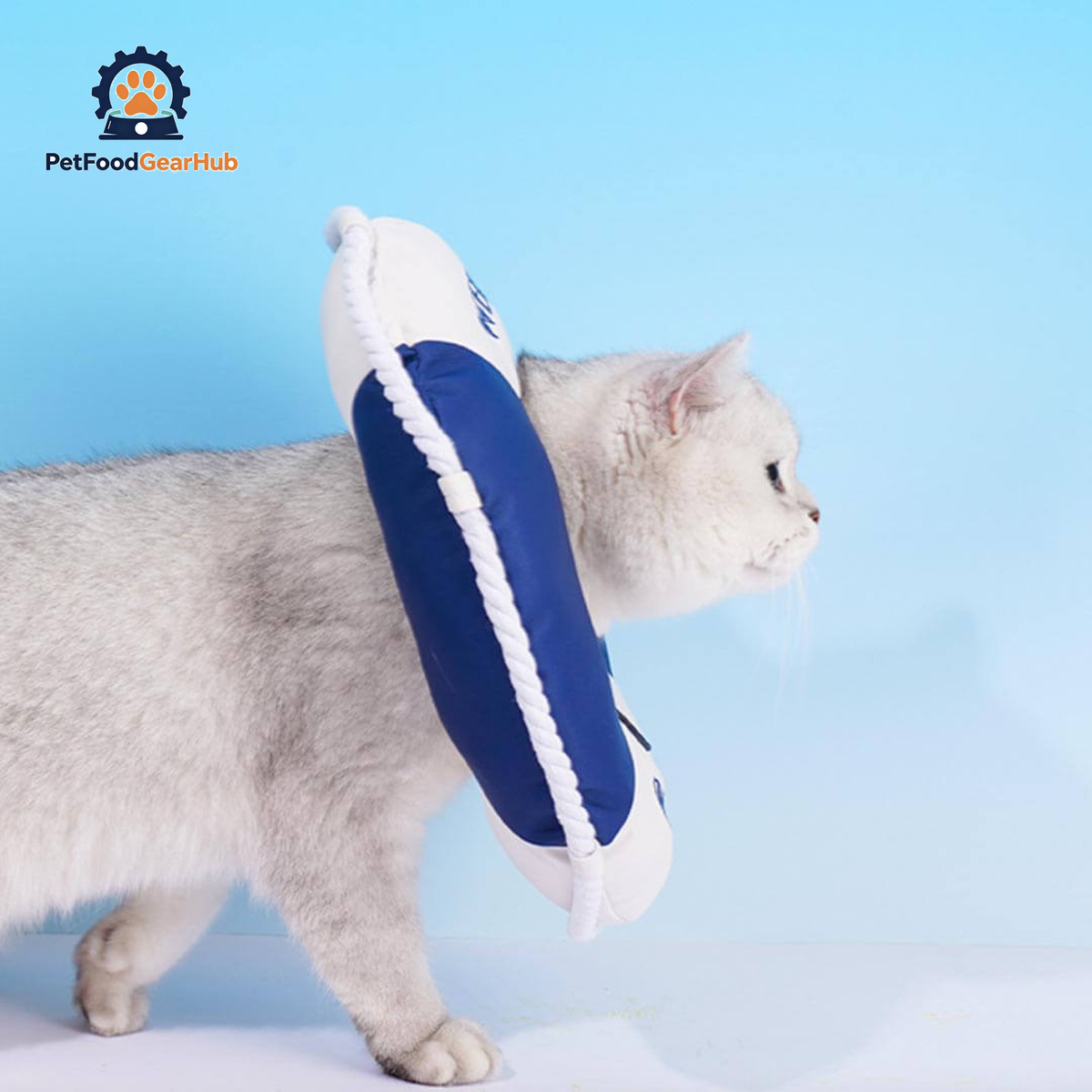 Lifebuoy Elizabethan Collar for Cats | Cat with E Collar | PetFoodGearHub