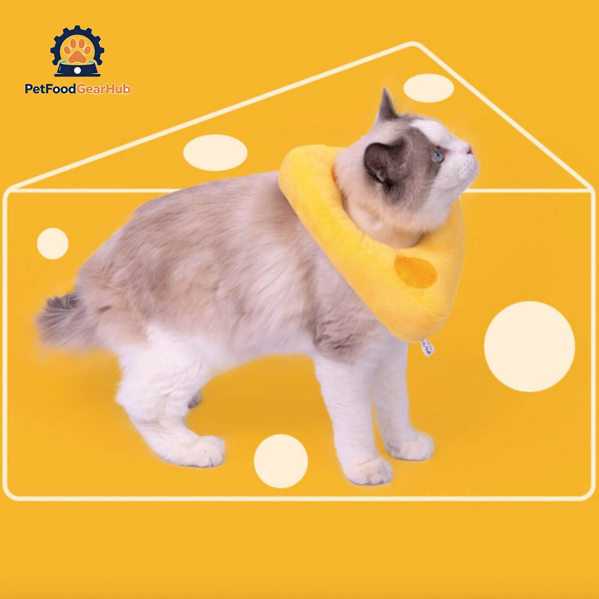 Cheese Elizabethan Collar for Cats | Cat with E Collar | PetFoodGearHub