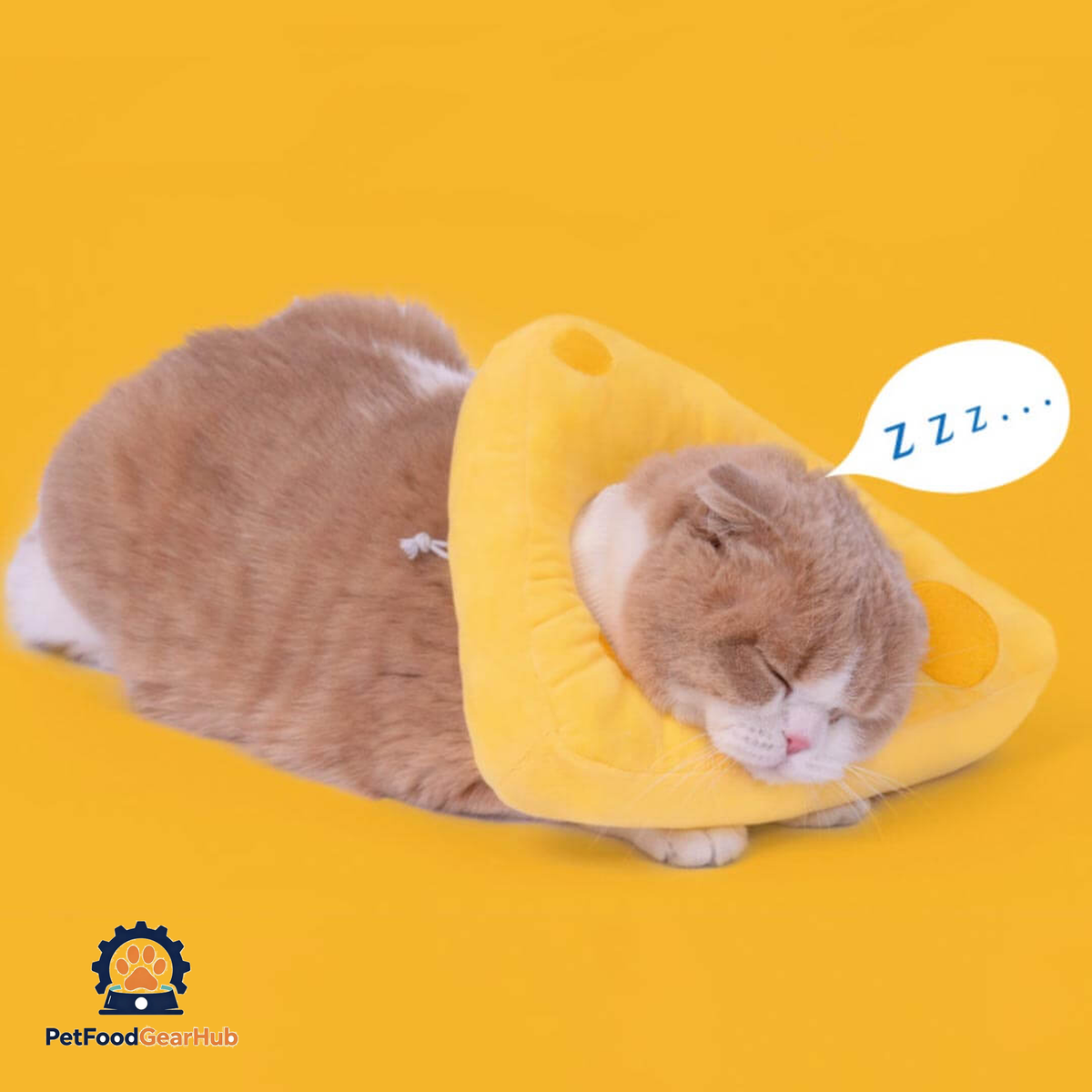 Cheese Elizabethan Collar for Cats | Cat with E Collar | PetFoodGearHub