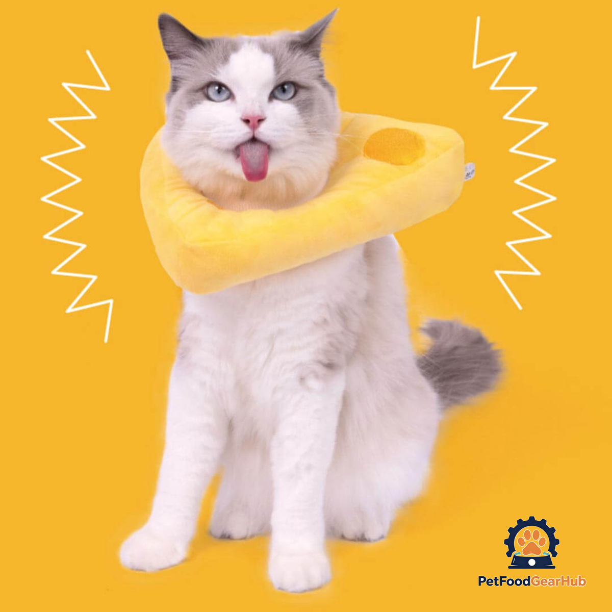 Cheese Elizabethan Collar for Cats | Cat with E Collar | PetFoodGearHub